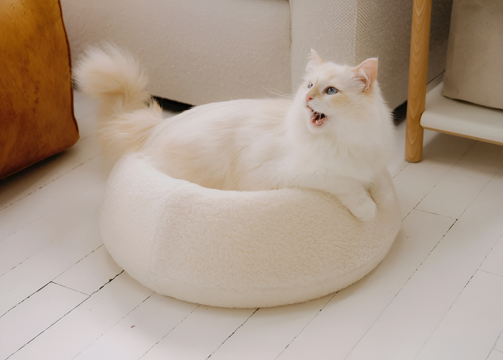 Give Your Companion a Cozy Retreat